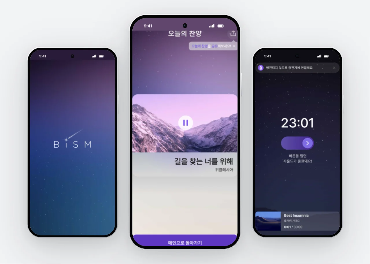 BISM 프로젝트 작업 화면